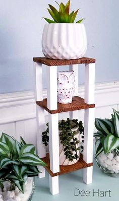 three white vases with plants in them on a table