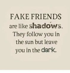 the words fake friends are like shadows they follow you in the sun but leave you in the dark