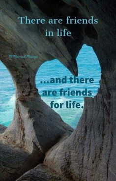 there are friends in life and there are friends for life quote on the rocks by the ocean