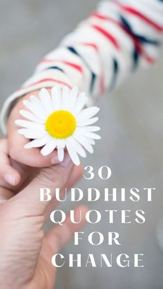 a person holding a daisy in their hand with the words 30 buddhist quotes for change