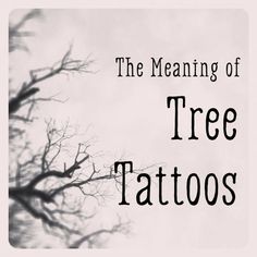 the meaning of tree tattoos written in black ink on a white background with bare trees