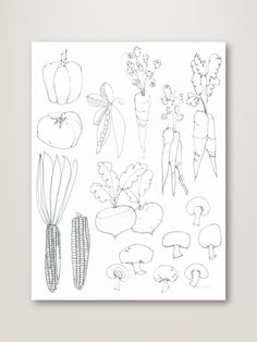 a drawing of vegetables on a white background