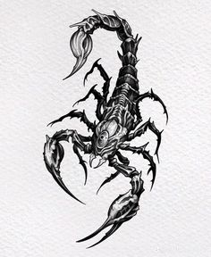 a black and white drawing of a scorpion with claws on it's back legs