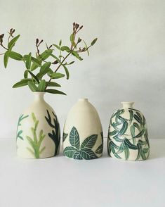 three ceramic vases with plants in them