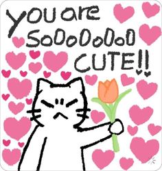 a drawing of a cat holding a flower with hearts in the background that says, you're sooooooo cute