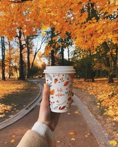 a person holding up a coffee cup in the fall