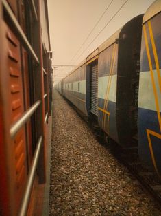 two trains side by side on train tracks