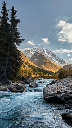 a river running through a lush green forest filled with trees and rocks under a cloudy sky