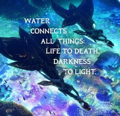 2009 Aesthetic, Avatar Quotes, Junkrat And Roadhog, Water Birthday, Avatar Animals, Darkness To Light, Water Quotes, I Am Blue, Atlantis The Lost Empire