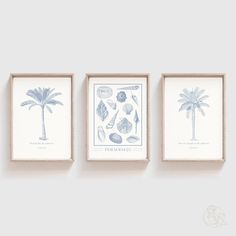 three framed pictures hanging on the wall with palm trees and seashells in them