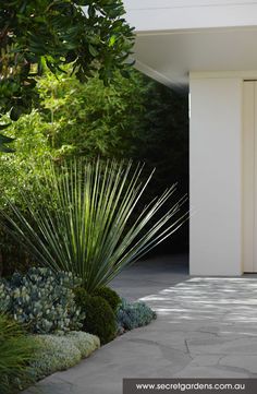 an open door to a white house surrounded by greenery