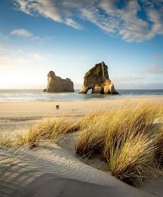 the dog is walking on the beach by the rocks and grass in the sand area