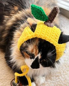 a calico cat wearing a crocheted hat with an apple on it's head