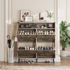 a shelf filled with lots of shoes next to a potted plant in a living room