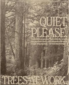 an old book cover with trees in the background and text that reads quiet please, treat at work