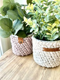 two crocheted pots with plants in them