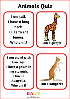 an animal quiz for kids with pictures and words