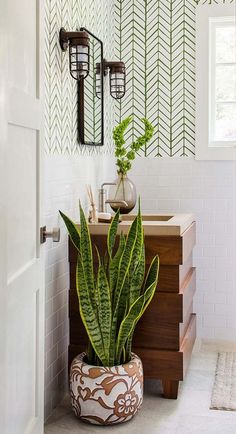 a bathroom with a potted plant next to a sink and mirror on the wall