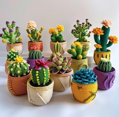 small crocheted cactus pots with flowers in them