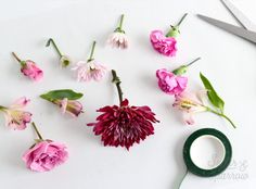 pink flowers and green tape on white surface