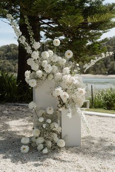 white flowers are placed in a vase on the ground next to some trees and water