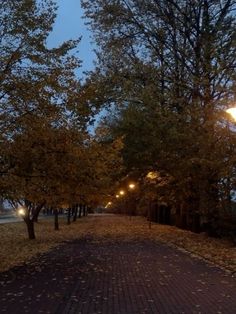 a street light is lit up on the side of a brick road with trees lining both sides