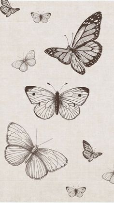 several butterflies flying in the air on a white background with black and white ink drawings