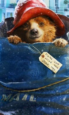 a teddy bear in a blue bag with a red hat