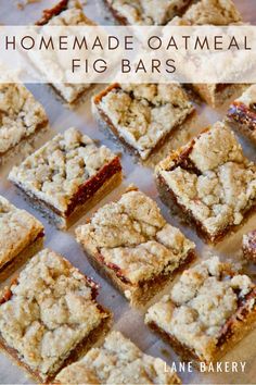 Homemade Oatmeal Fig Bars - Lane Bakery Oatmeal Fig Bars, Fig Jam Dessert, Sun Dried Figs Recipes, Homemade Fig Bars, Fig Jam Recipes, Fig Bars Recipe