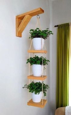 three potted plants are hanging on the wall