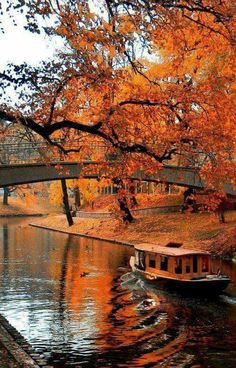 a boat traveling down a river under a bridge in the fall time with leaves on it