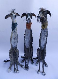 three dogs are standing next to each other in front of a white background and one is wearing a scarf