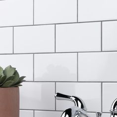 a potted plant sitting on top of a sink next to a faucet