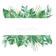 watercolor painting of green leaves on white background