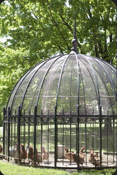 several chickens in a cage on the grass near some trees and a building with a dome roof