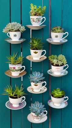 Terrarios Suculentas Ideas, Mini Cactus Garden, Mini Succulent Garden, Succulent Rock Garden, Succulent Garden Ideas, Teacup Gardens, Succulent Display, Garden Art Drawing, Succulent Garden Design