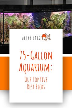 an aquarium with the words 75 gallon aquarium our top five best picks