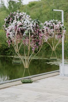 an image of some flowers in the middle of a pond with water and trees behind it