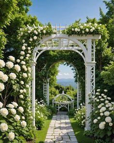 a garden with white roses and an arbor in the center, surrounded by greenery