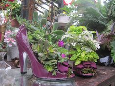 a pair of purple high heeled shoes sitting on top of a table filled with plants