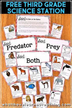 the free third grade science station with pictures of animals