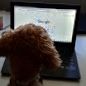 a blurry image of a dog sitting in front of a laptop computer with its head on the keyboard