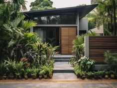 a modern house surrounded by tropical trees and greenery in the foreground is an entry way