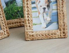 two wicker photo frames with a dog on the front and one in the back