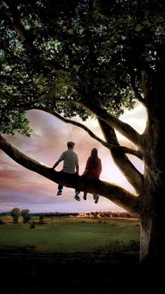 a movie poster with two people sitting on a tree and the words flipped in front of them