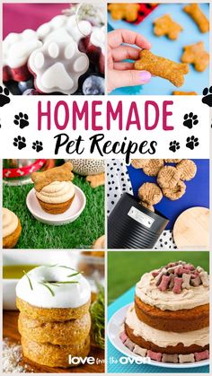 homemade pet treats collage with text overlay that reads homemade pet recipes for dogs and cats