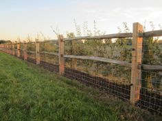 a row of wooden fences with plants growing on them in the middle of a grassy field