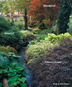 the different types of plants and shrubs in this garden are labeled with words on them