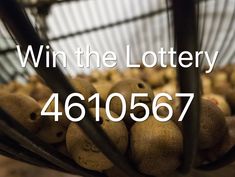 a bunch of nuts sitting on top of a metal rack with the words win the lotery 4610527