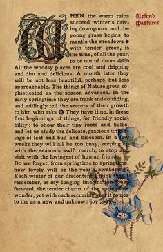 an old book with blue flowers on it and the letter d in red ink is shown